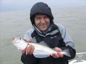1 lb 10 oz Whiting by john banks