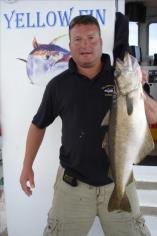 11 lb 2 oz Pollock by Bison