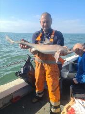 10 lb Smooth-hound by Jason Parrott