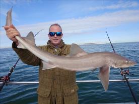 13 lb Smooth-hound (Common) by Michael button