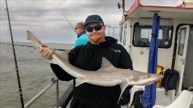 2 oz Smooth-hound by Unknown