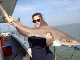 12 lb Starry Smooth-hound by Nice fish for new comer Zoe