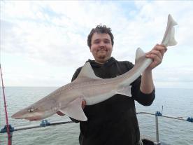 2 oz Smooth-hound by Unknown