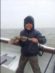 1 lb 8 oz Lesser Spotted Dogfish by Scott Belbin
