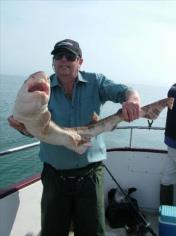 12 lb Bull Huss by Dennis