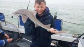 5 lb 2 oz Smooth-hound by Young Alex