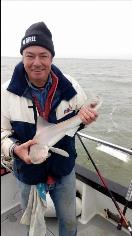 2 oz Smooth-hound by Unknown