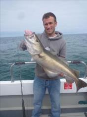 16 lb 8 oz Pollock by Unknown