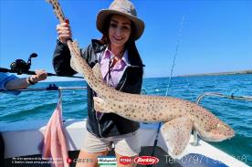 10 lb Bull Huss by Lorraine