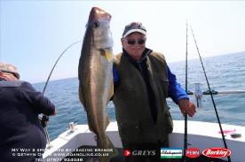 8 lb Pollock by Toby