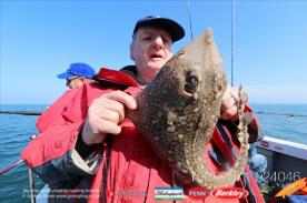 6 lb Thornback Ray by Doyley