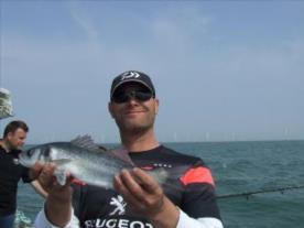 2 oz Bass by alec