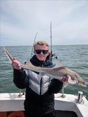 4 lb Starry Smooth-hound by Frank