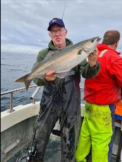 7 lb Coalfish (Coley/Saithe) by Unknown