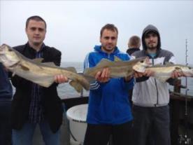 8 lb Pollock by The Bro's