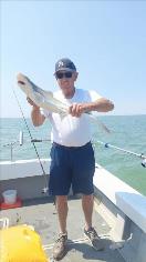 4 lb Starry Smooth-hound by Unknown