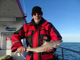 2 oz Smooth-hound by from earlier in the year