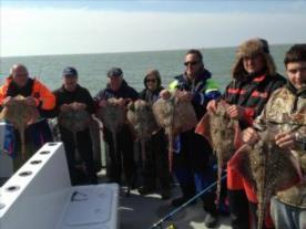 11 lb 5 oz Thornback Ray by 7 of 20 thornbacks biggest 11.5lb