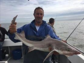 17 lb 12 oz Smooth-hound (Common) by Martin
