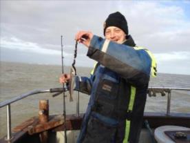 3 oz Whiting by Richards Cod season in full swing !