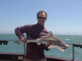 22 lb Smooth-hound (Common) by Unknown