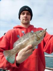 1 lb 8 oz Ballan Wrasse by Mike