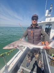6 lb Smooth-hound by Darren