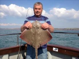 7 lb Thornback Ray by Pops