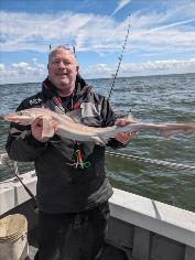 5 lb Smooth-hound by Alex