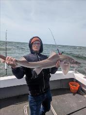10 lb 5 oz Smooth-hound (Common) by Jim