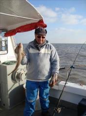 4 lb Cod by Mike