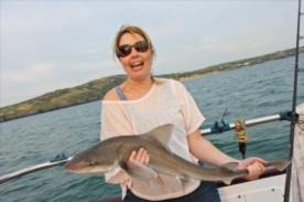 6 lb Starry Smooth-hound by Carrie