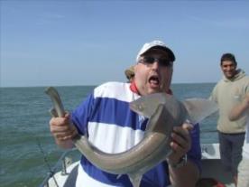 10 lb Starry Smooth-hound by kevin