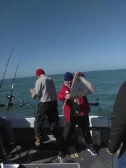 11 lb Thornback Ray by Unknown