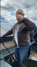 12 oz Mackerel by Unknown