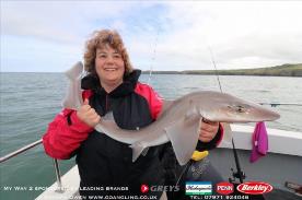 5 lb Starry Smooth-hound by Kim