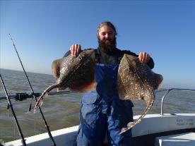 2 oz Thornback Ray by Unknown