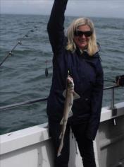 2 lb 8 oz Lesser Spotted Dogfish by Unknown