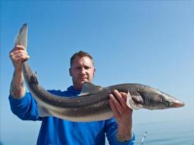 15 lb 3 oz Spurdog by Tojo