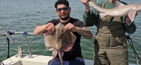 4 lb Thornback Ray by Vee
