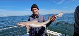 8 lb 3 oz Smooth-hound (Common) by Ray