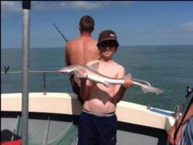 7 lb Smooth-hound (Common) by a very happy birthday boy