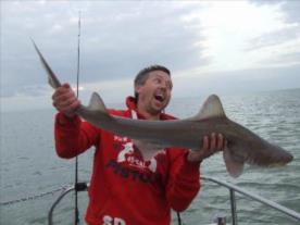 2 oz Smooth-hound by Unknown