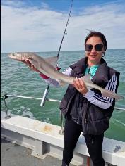 3 lb Smooth-hound by Beth