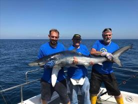 120 lb 6 oz Blue Shark by JOHN NICHOLLS