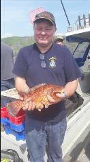 3 lb Ballan Wrasse by Andy O