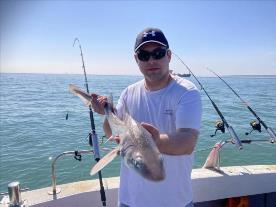 5 lb Starry Smooth-hound by Rob