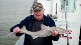 9 lb 1 oz Smooth-hound by Sir M.