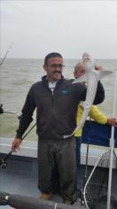 3 lb 8 oz Smooth-hound by Unknown