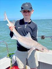 6 lb Smooth-hound by Archie